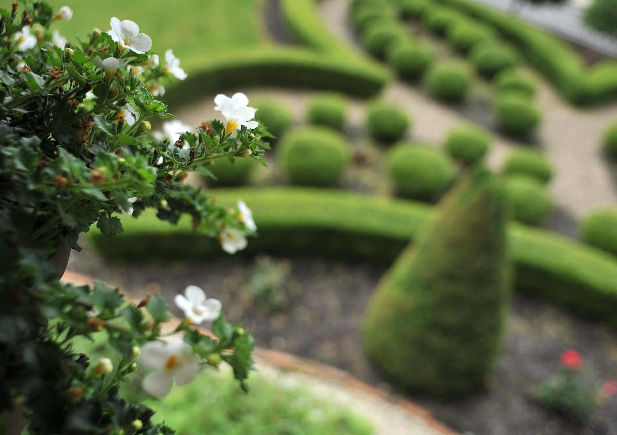 The Historic Morris Harvey House Bed & Breakfast ฟาแยตวิลล์ ภายนอก รูปภาพ